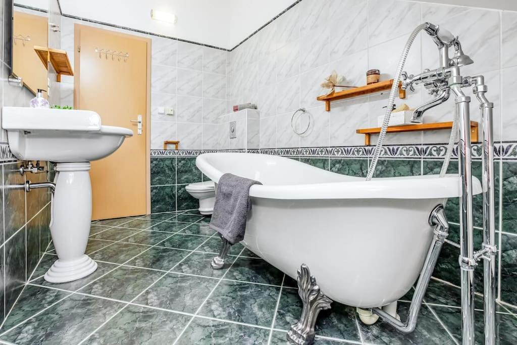 Utulny A Prostorny Podkrovni Byt S Krbovymi Kamny Ceske Budejovice Esterno foto