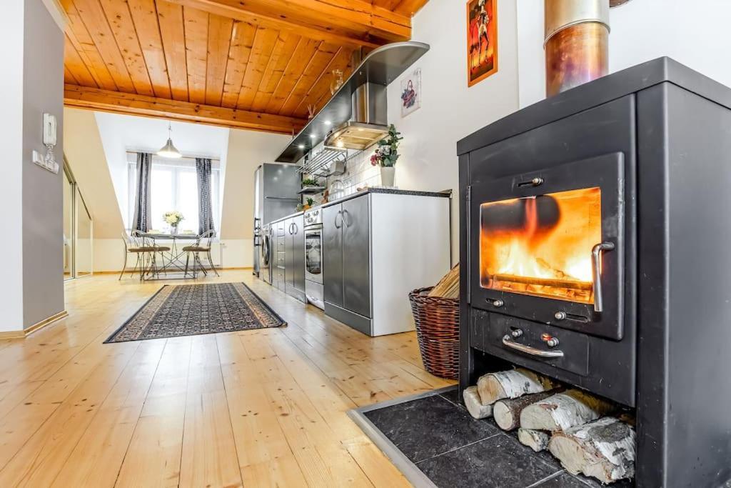 Utulny A Prostorny Podkrovni Byt S Krbovymi Kamny Ceske Budejovice Esterno foto